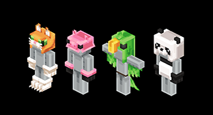 Character Skins & Cosmetics